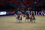 Quadrille - 00127